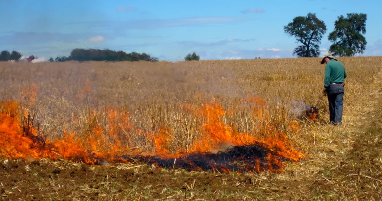 Quema agrícola. Foto: CONAF Ñuble