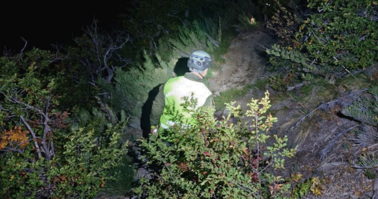 El operativo fue realizado por la policía. Foto: Carabineros Ñuble.