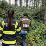 En el operativo de búsqueda participó Carabineros, Bomberos, PDI y personal municipal. Foto: Carabineros Ñuble