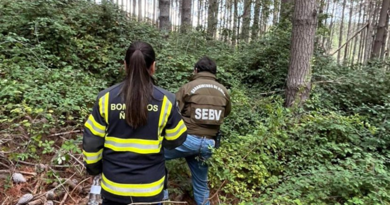 En el operativo de búsqueda participó Carabineros, Bomberos, PDI y personal municipal. Foto: Carabineros Ñuble