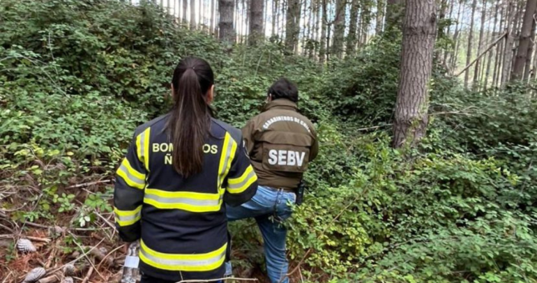 En el operativo de búsqueda participó Carabineros, Bomberos, PDI y personal municipal. Foto: Carabineros Ñuble