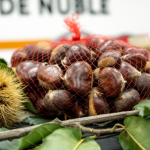 Castañas. Foto: Municipalidad de El Carmen