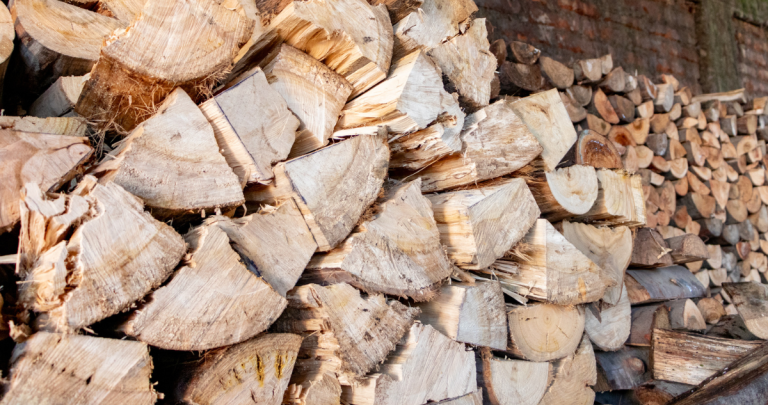 Leña. Foto: Seremi de Energía