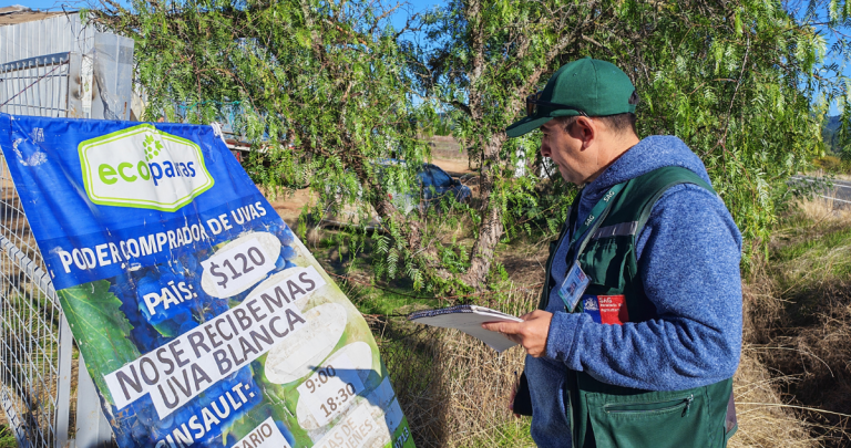 Fiscalización de uva vinífera. Foto: SAG Ñuble