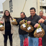 Exportadores con sus castañas. Foto: INDAP Ñuble