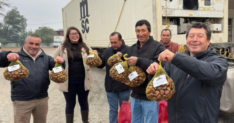 Exportadores con sus castañas. Foto: INDAP Ñuble