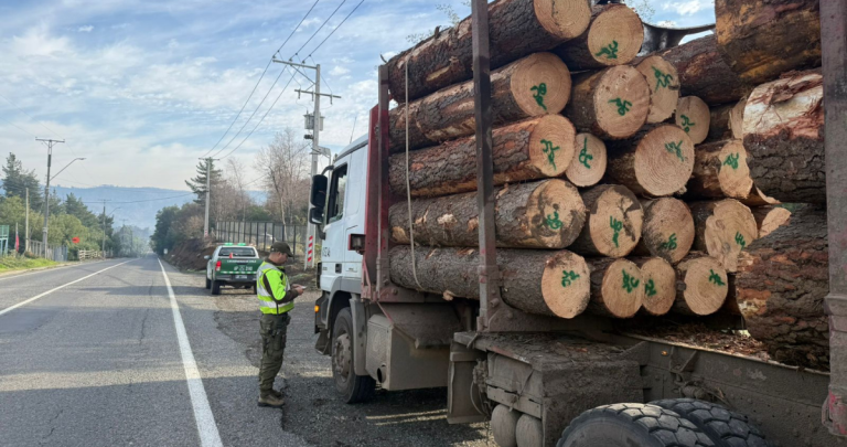 Operativo policial. Foto: Carabineros Ñuble
