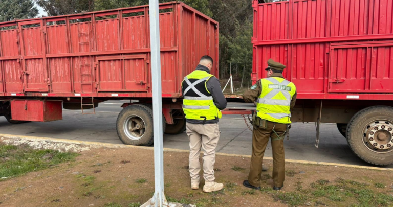 Procedimiento de Carabineros. Foto: Carabineros Ñuble