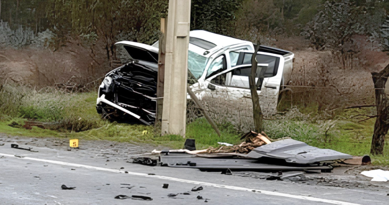Así quedó la camioneta. Foto: Carabineros Ñuble.