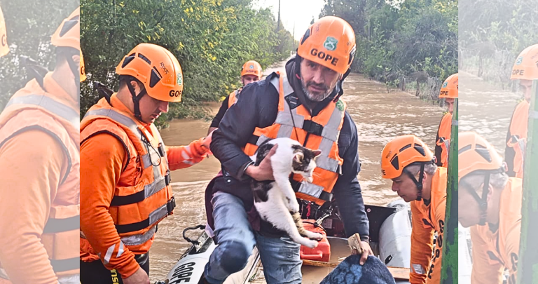 Así fue el rescate. Foto: Carabineros Ñuble.