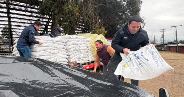 Entregan 12 toneladas de alimento a 24 agricultores de Punilla afectados por sistemas frontales