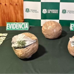 Detectan en Ñuble más de 7 mil dosis de marihuana ocultas entre romero y ruda en bus interprovincial