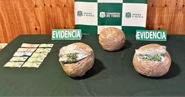 Detectan en Ñuble más de 7 mil dosis de marihuana ocultas entre romero y ruda en bus interprovincial