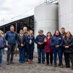 Proyecto en Ñuble prueba orujo de uva en alimentación de corderos necesitaron hasta 10% menos alimento