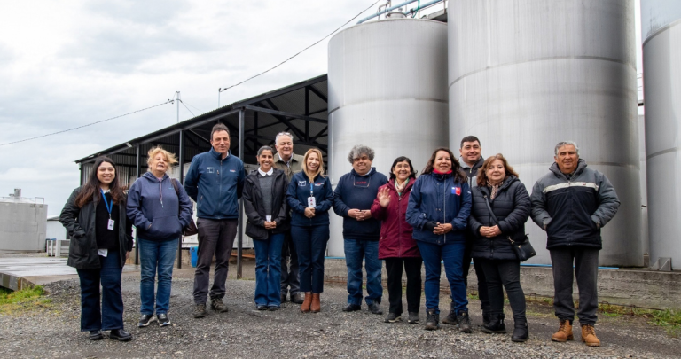 Proyecto en Ñuble prueba orujo de uva en alimentación de corderos necesitaron hasta 10% menos alimento
