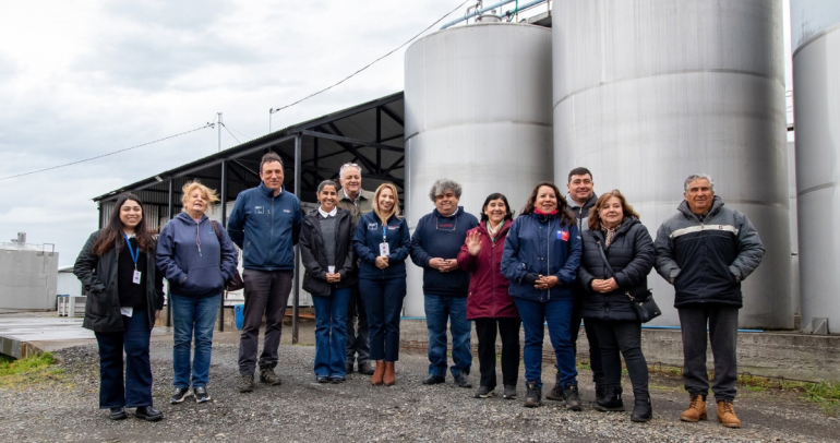 Proyecto en Ñuble prueba orujo de uva en alimentación de corderos necesitaron hasta 10% menos alimento