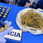 Un detenido en Cobquecura con cannabis y 36 municiones de escopeta en su domicilio