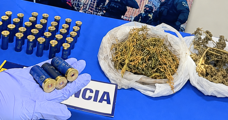 Un detenido en Cobquecura con cannabis y 36 municiones de escopeta en su domicilio