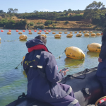 Declaran emergencia preventiva en Ñuble por riesgo de marea roja: regirá desde el 1 de noviembre