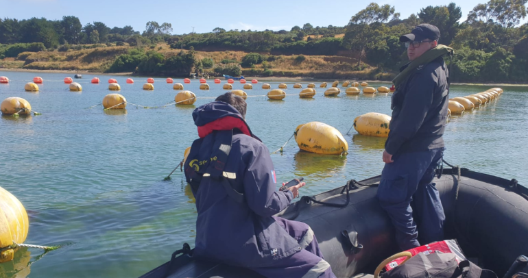 Declaran emergencia preventiva en Ñuble por riesgo de marea roja: regirá desde el 1 de noviembre
