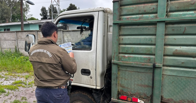 Detienen en feria de Bulnes a comerciante que trasladaba 6 caballos sin acreditar su procedencia
